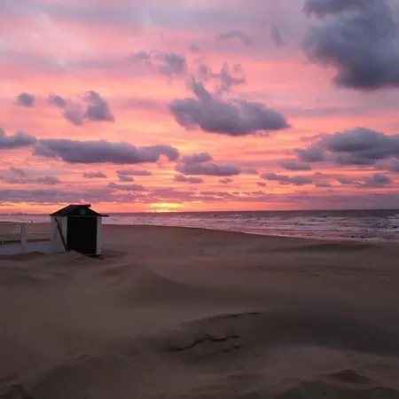 Garden Steps From Beaches, Cleaning Included Koksijde